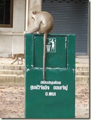 2555-06-25 08-38-14_0064