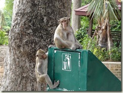 2555-06-25 08-50-12_0086