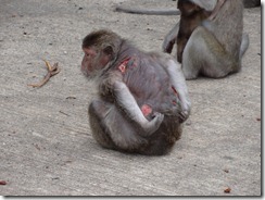 2555-06-25 02-34-45_0003