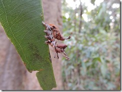 61560_10151382324891935_651706935_n[1]