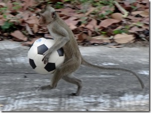 monkey running with ball
